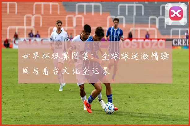 世界杯观赛图集:全球球迷激情瞬间与看台文化全记录