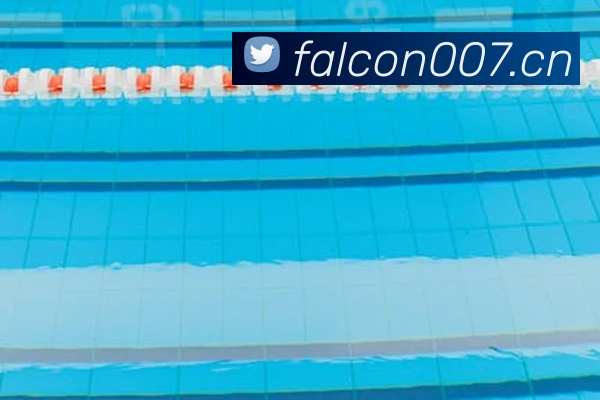 乐竞快速登录平台生态图