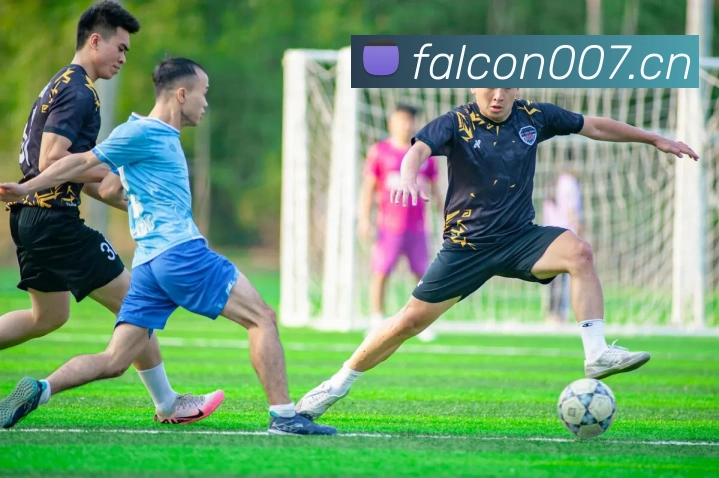 数据防护可视化